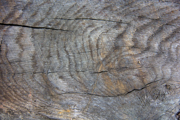 close up of weathered texture woodgrain with cracks