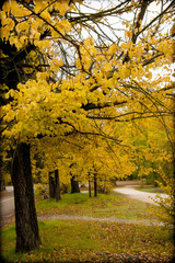 Oto&ntilde;o en Madrid