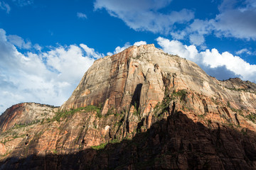 Zion Canyon View