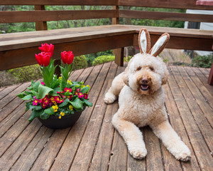 Hoppy Easter