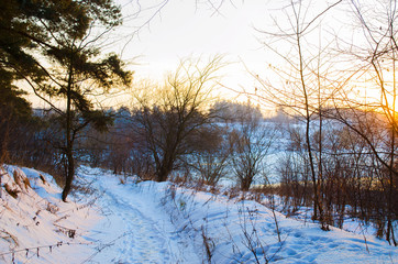 winter forest and the river at sunset