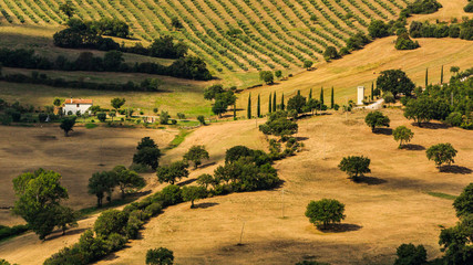 View of tuscan fields and hills in Maremma region in Italy