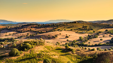 View of a tuscan fields and hills in Maremma region - obrazy, fototapety, plakaty