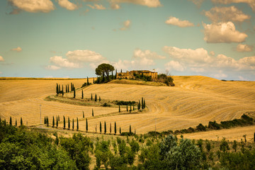 View of house with cypress trees in a field in the tuscan region