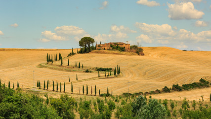 View of house with cypress trees in a field in the tuscan region - obrazy, fototapety, plakaty
