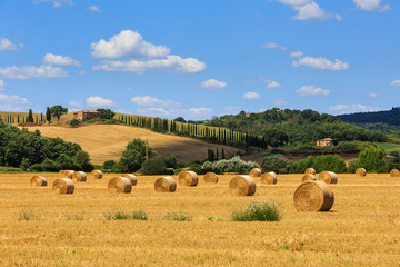 View of fields with hay bales in the tuscan region Siena in Ital © oscity