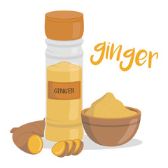 Vector ginger illustration isolated in cartoon style. Herbs and Species Series