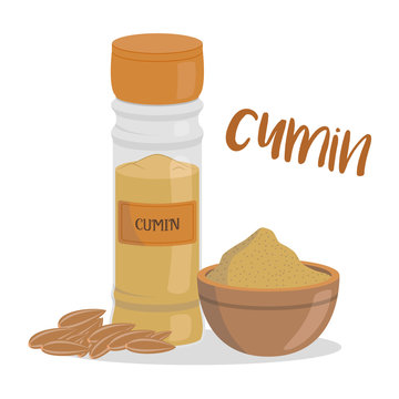 Vector cumin illustration isolated in cartoon style. Herbs and Species Series
