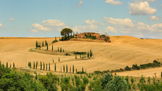 View of house with cypress trees in a field in the tuscan region