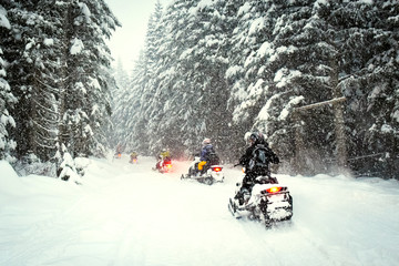 Snow mobile in blizzard through the woods and forest