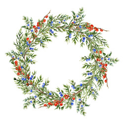 Watercolor juniper wreath with red berries. Hand painted evergreen branch with berries on white background. Botanical illustration for design or print.