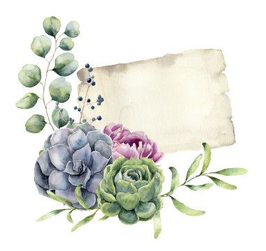 22,489 BEST Succulent Border IMAGES, STOCK PHOTOS & VECTORS | Adobe Stock
