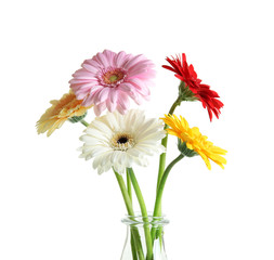 Vase with bouquet of beautiful flowers on white background