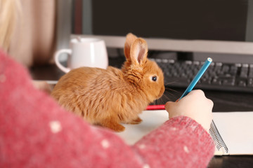 Naklejka premium Cute funny rabbit sitting on notebook and woman at desk