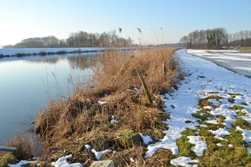 Foto auf Leinwand rietkraag op besneeuwd dijkje tussen de rivier Oude IJssel en ijsbaan van Laag Keppel © henkbouwers