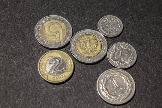 Polish Coins