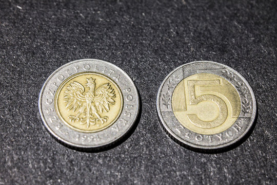 Polish Coin 5 Zloty