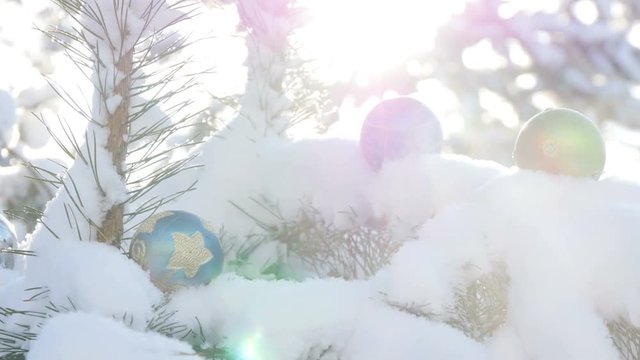 Christmas balls on a snowy fir branch in sunshine