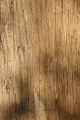 木目のテクスチャ