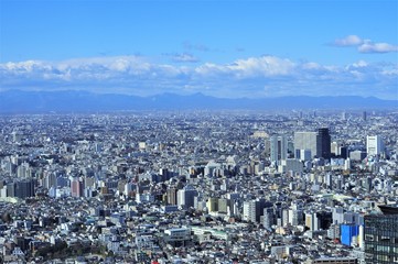 東京都庁から望む東京都内の風景