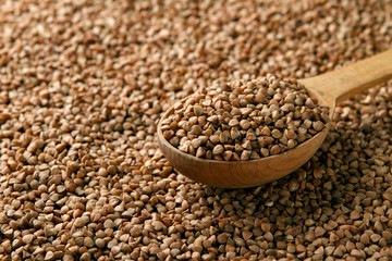 Buckwheat in a wooden spoon