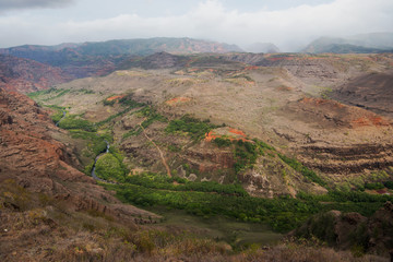 Waimea Canyon at Iliau Nature Loop