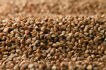 Buckwheat