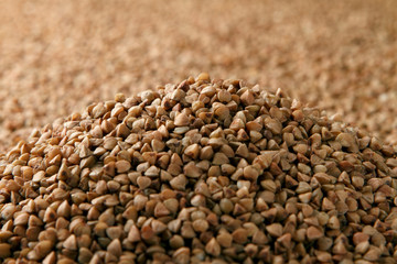 Buckwheat