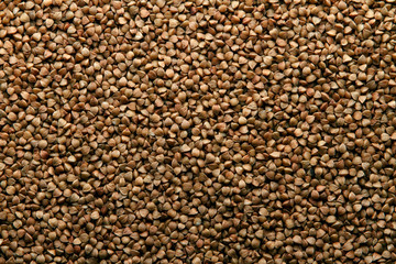 Buckwheat