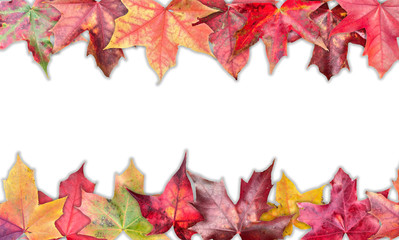 Naklejka na ściany i meble Fall Leaf Background
