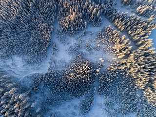 Mountain landscape in winter season