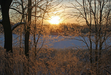 Winter Morning After an Ice Storm