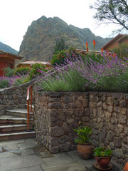 ollantaytambo: flowers and hotel2 