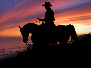 Fototapeta na wymiar Horse Silhouette Sunset