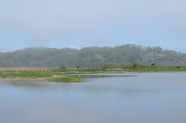 パシクル自然公園
