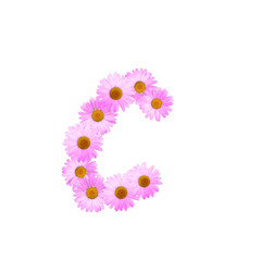 Pink Daisy Letter C