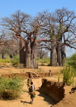 Hadzabe men tracking animals through the dry creek bed in Rural Tanzania
