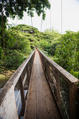Swing bridge at the Menehune Ditch