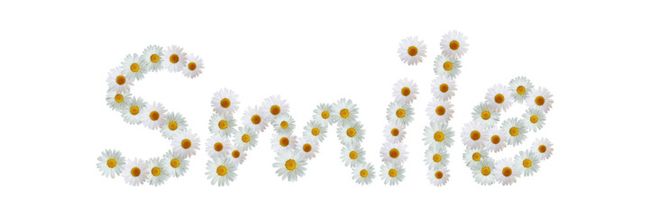 Fototapeta premium Daisy Word Smile