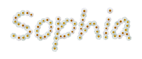Daisy Name Sophia