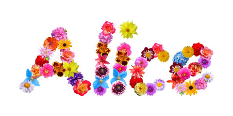 Flower Name Alice