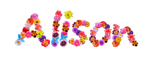 Flower Name Alison