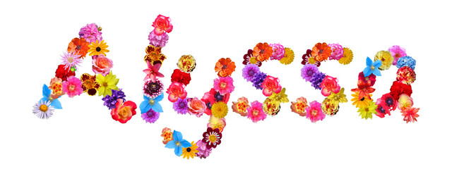Flower Name Alyssa