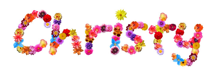 Flower Name Christy