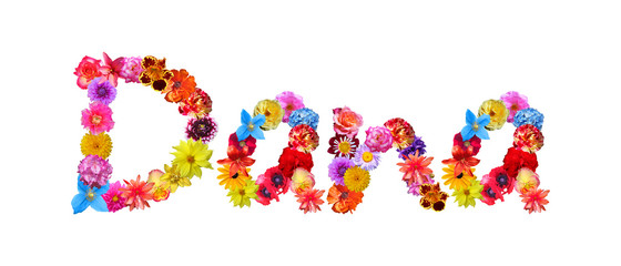 Flower Name Dana