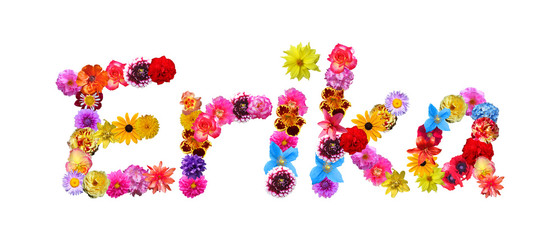 Flower Name Erika