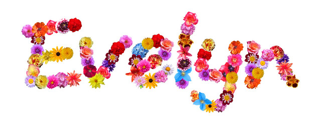 Flower Name Evelyn