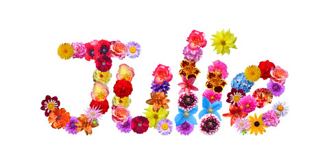 Flower Name Julie