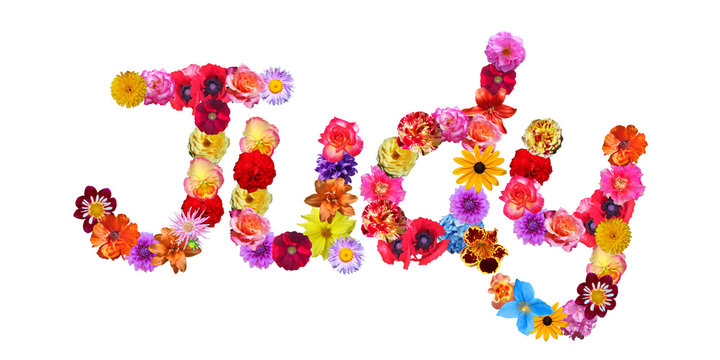 Flower Name Judy