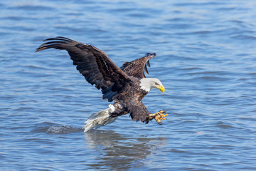 Naklejka premium Ready to Fish